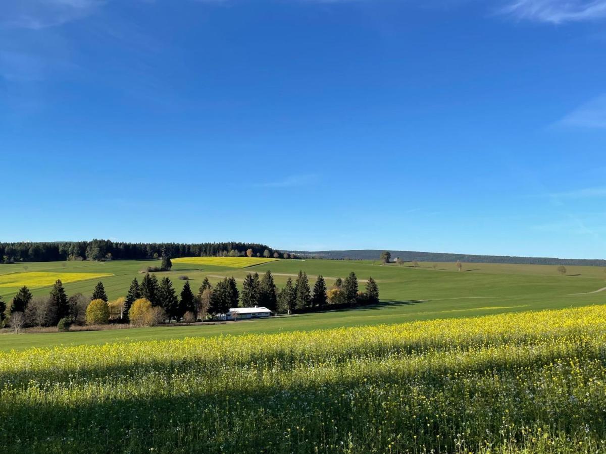 Holiday Home Schwarzwald By Interhome Dittishausen Bagian luar foto